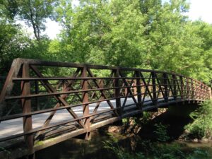 bridge with rails next to green trees