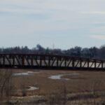 bridge over marsh